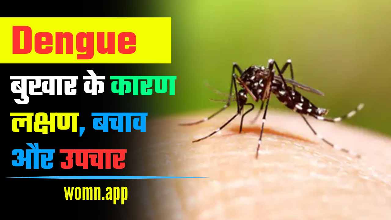 Dengue Bukhar Kya Hai? डेंगू बुखार से कैसे खुद को सुरक्षित रखे, जाने इसके कारण और लक्षण