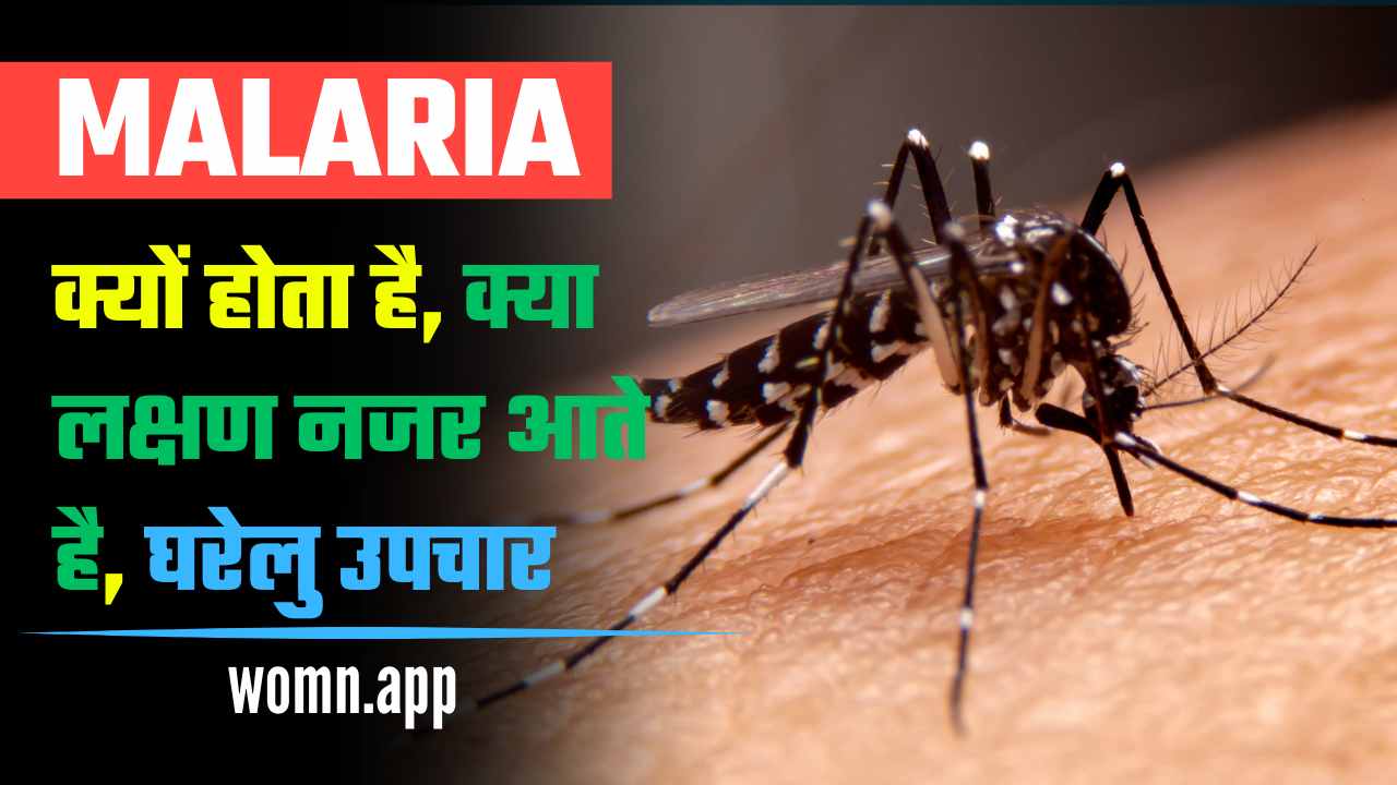 Malaria Kya Hota Hai? जाने इसके कारण, लक्षण और घरेलु उपचार