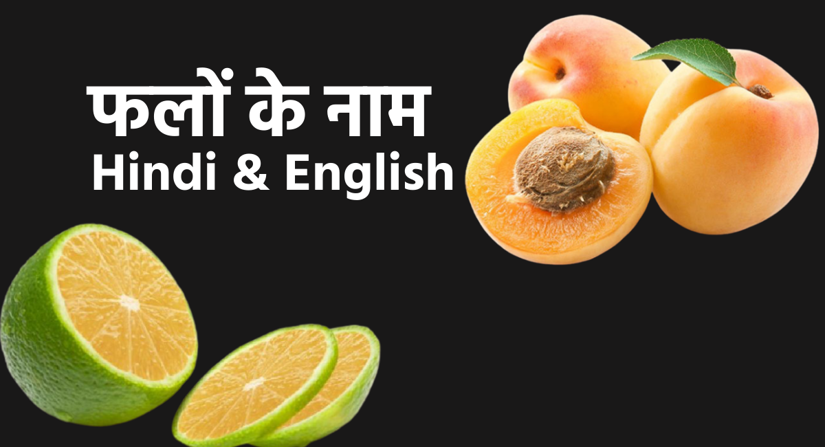 fruits names in hindi & english