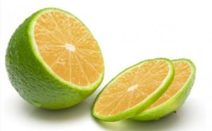 sweet lime mausambi name in hindi english